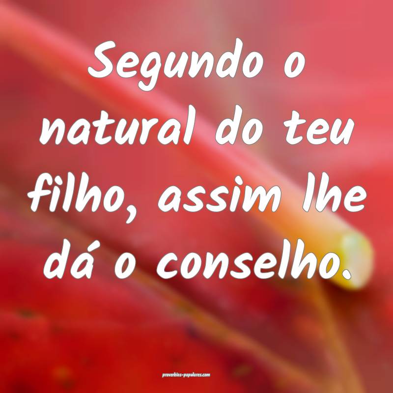 Segundo o natural do teu filho, assim lhe dá o conselho.
...