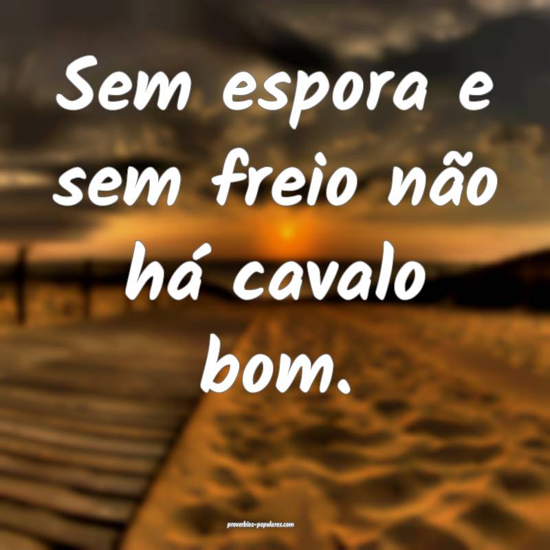 Sem espora e sem freio não há cavalo bom.
...