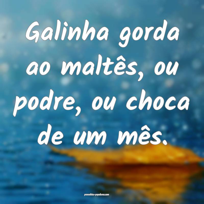 Galinha gorda ao maltês, ou podre, ou choca de um mês.
...