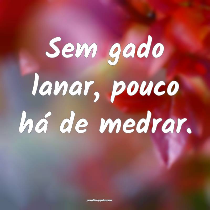 Sem gado lanar, pouco há de medrar.
...