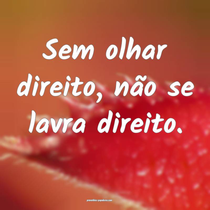 Sem olhar direito, não se lavra direito.
...