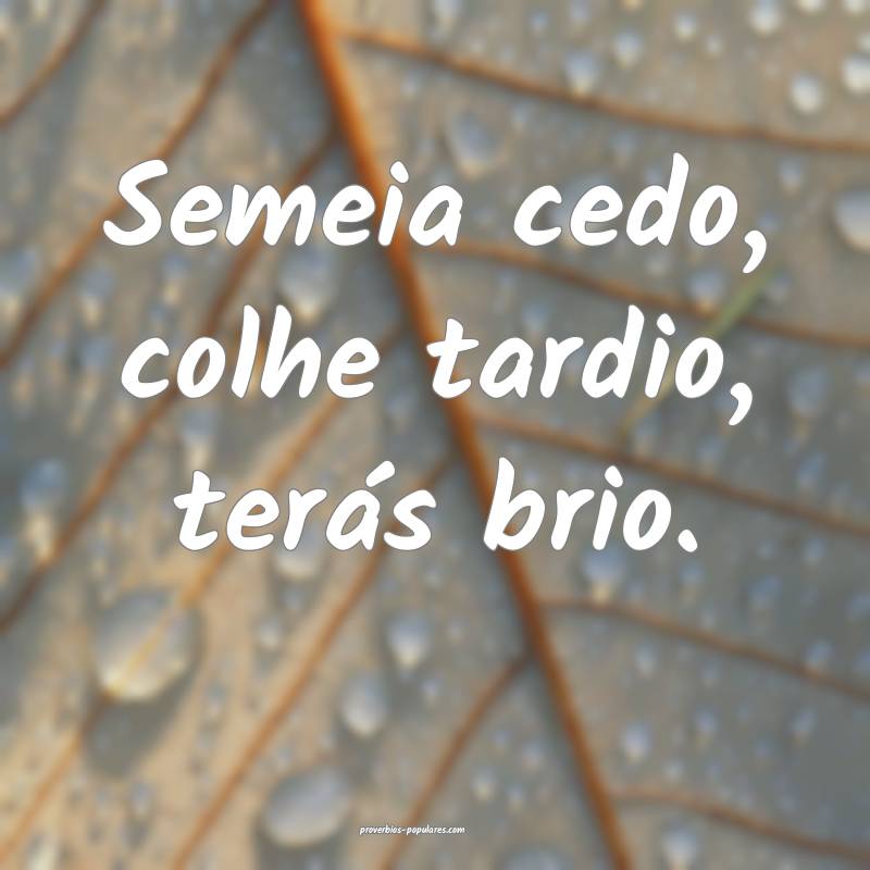 Semeia cedo, colhe tardio, terás brio.
...