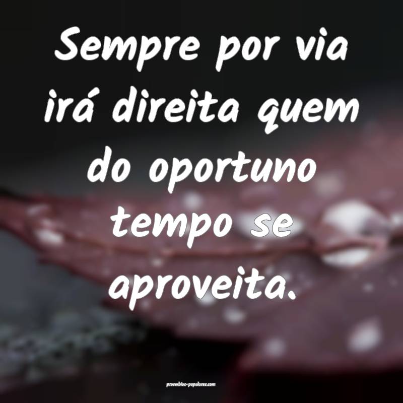 Sempre por via irá direita quem do oportuno tempo se aproveita.
...