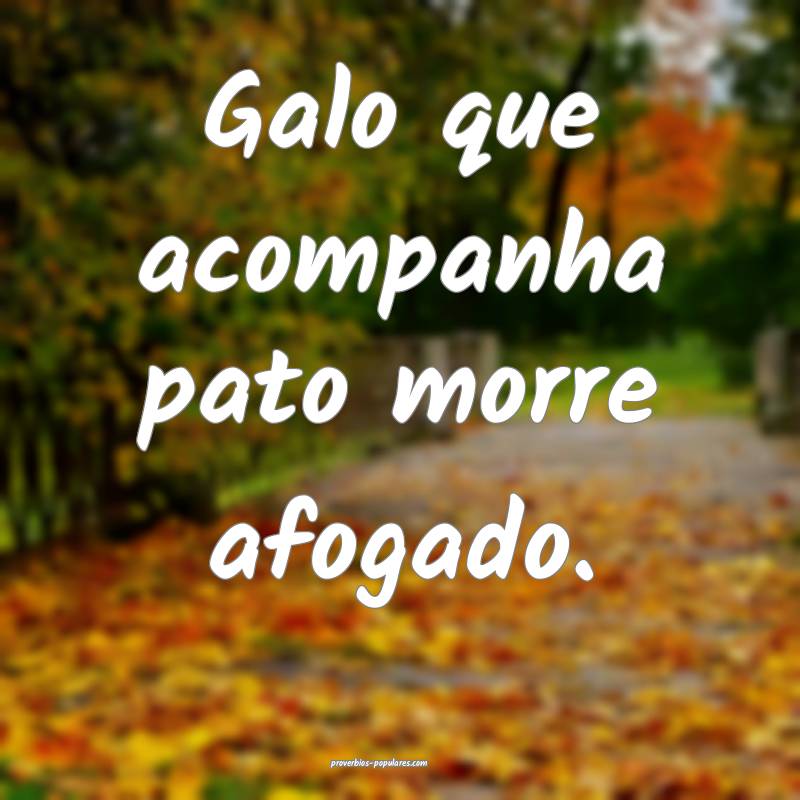 Galo que acompanha pato morre afogado.
...