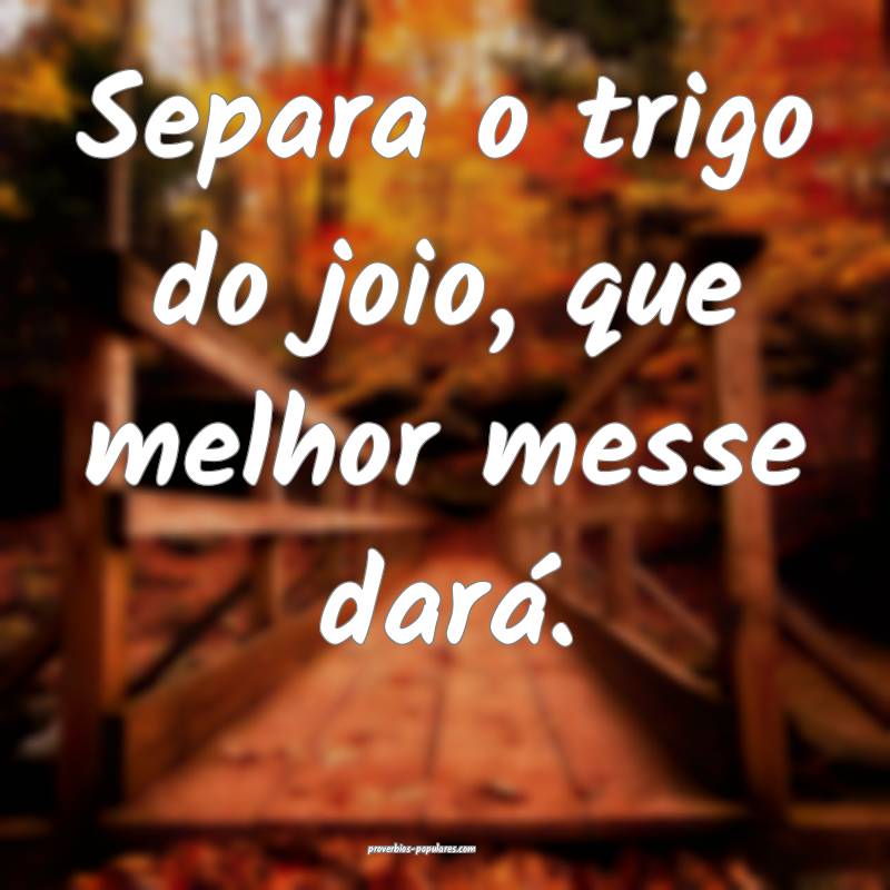 Separa o trigo do joio, que melhor messe dará.
...