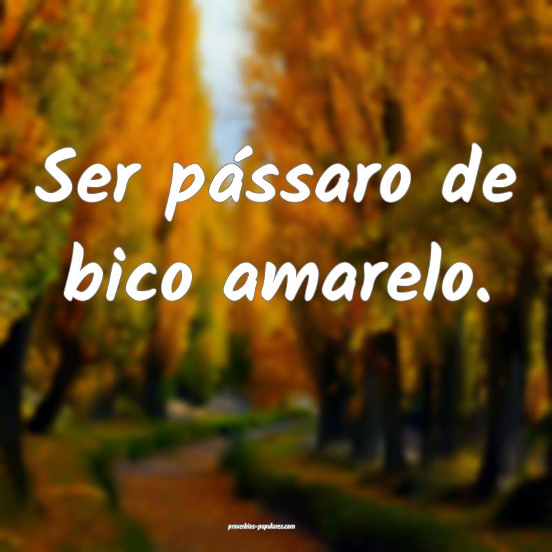 Ser pássaro de bico amarelo.
...