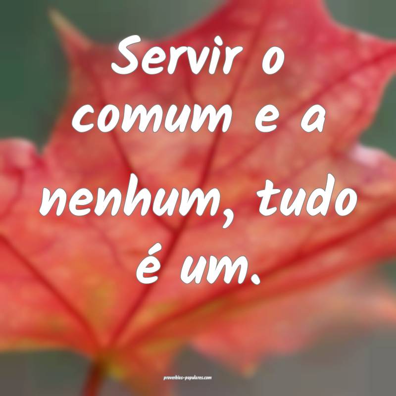 Servir o comum e a nenhum, tudo é um.
...