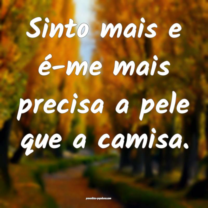 Sinto mais e é-me mais precisa a pele que a camis ...