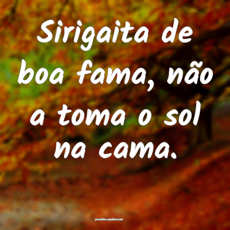 Sirigaita de boa fama, não a toma o sol na cama.
...
