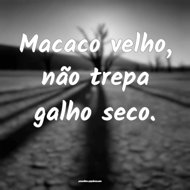 Macaco velho, não trepa galho seco.
...