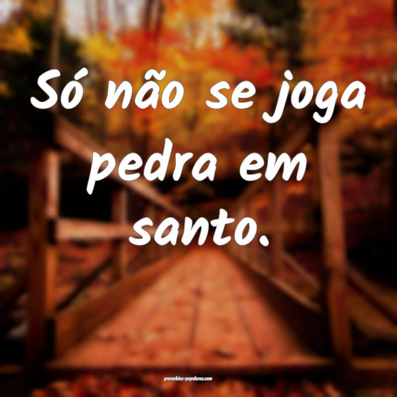 Só não se joga pedra em santo.
...