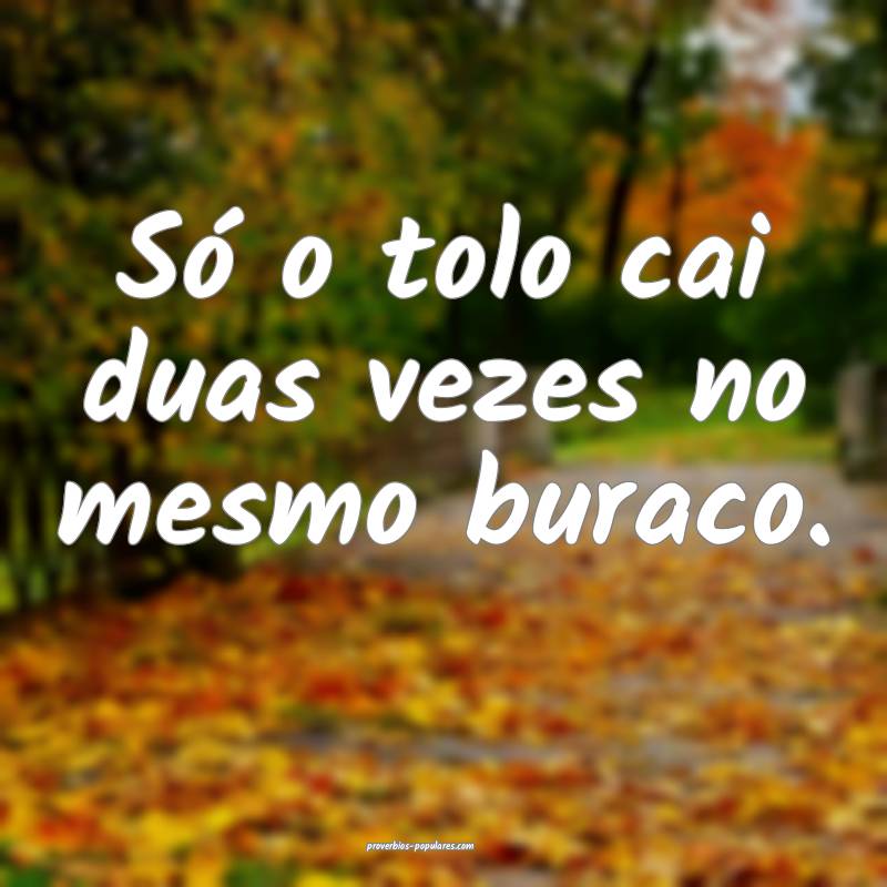 Só o tolo cai duas vezes no mesmo buraco.
...