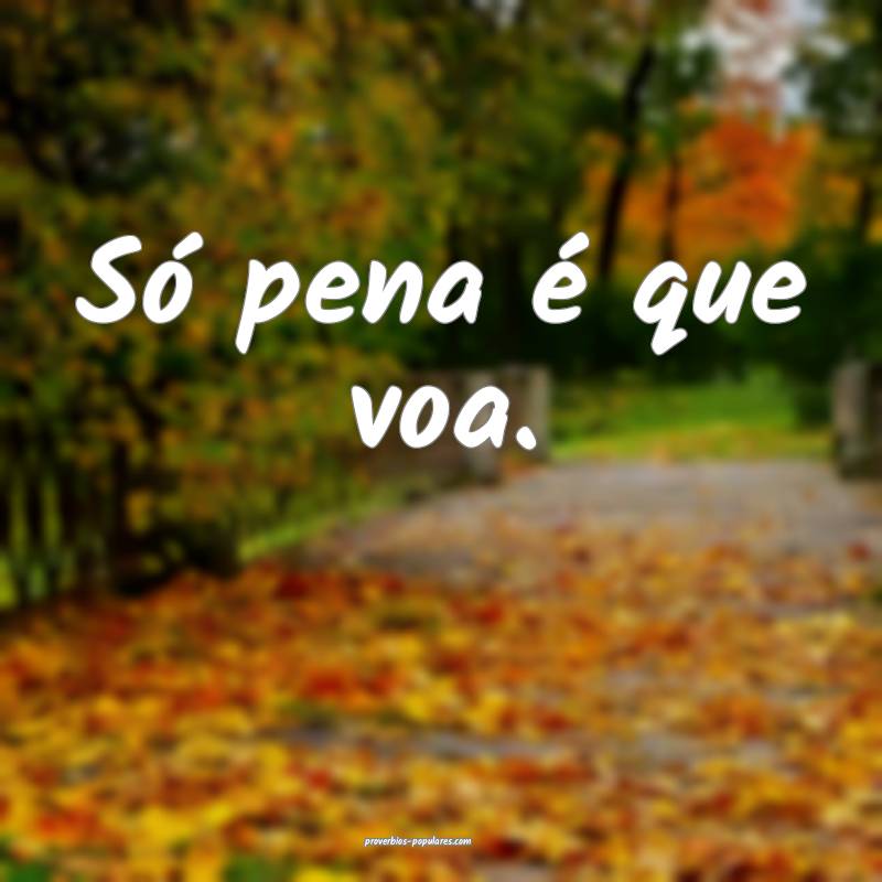 Só pena é que voa.
...