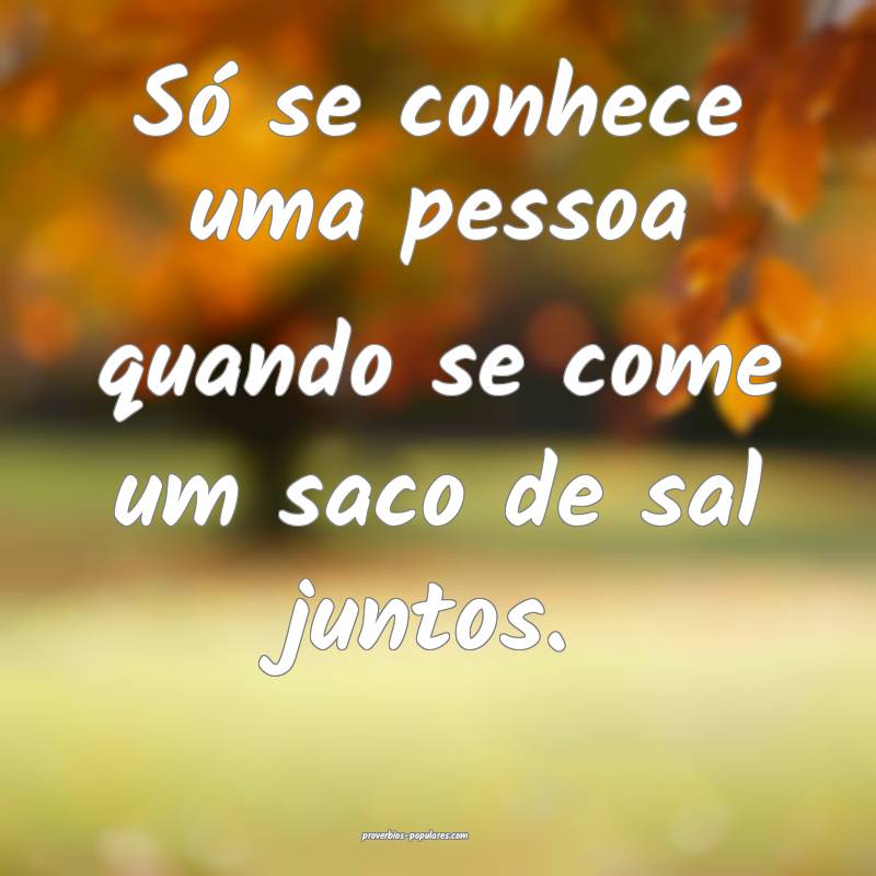 Só se conhece uma pessoa quando se come um saco d ...