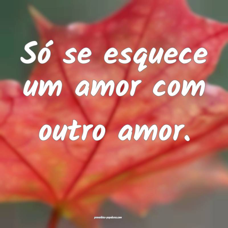Só se esquece um amor com outro amor.
...