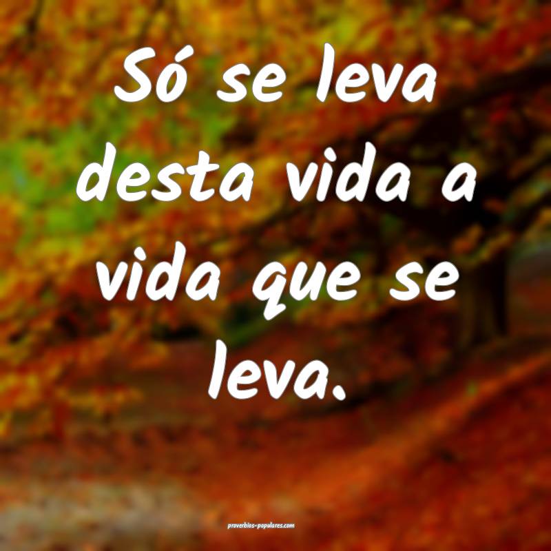 Só se leva desta vida a vida que se leva.
 ...