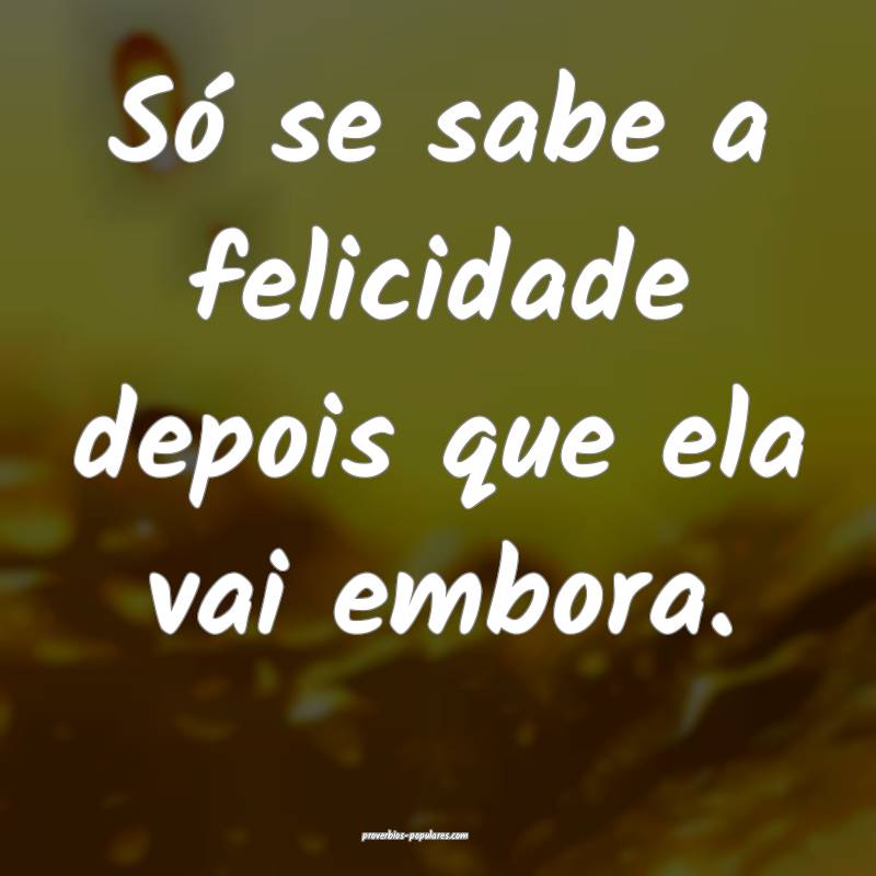 Só se sabe a felicidade depois que ela vai embora.
...