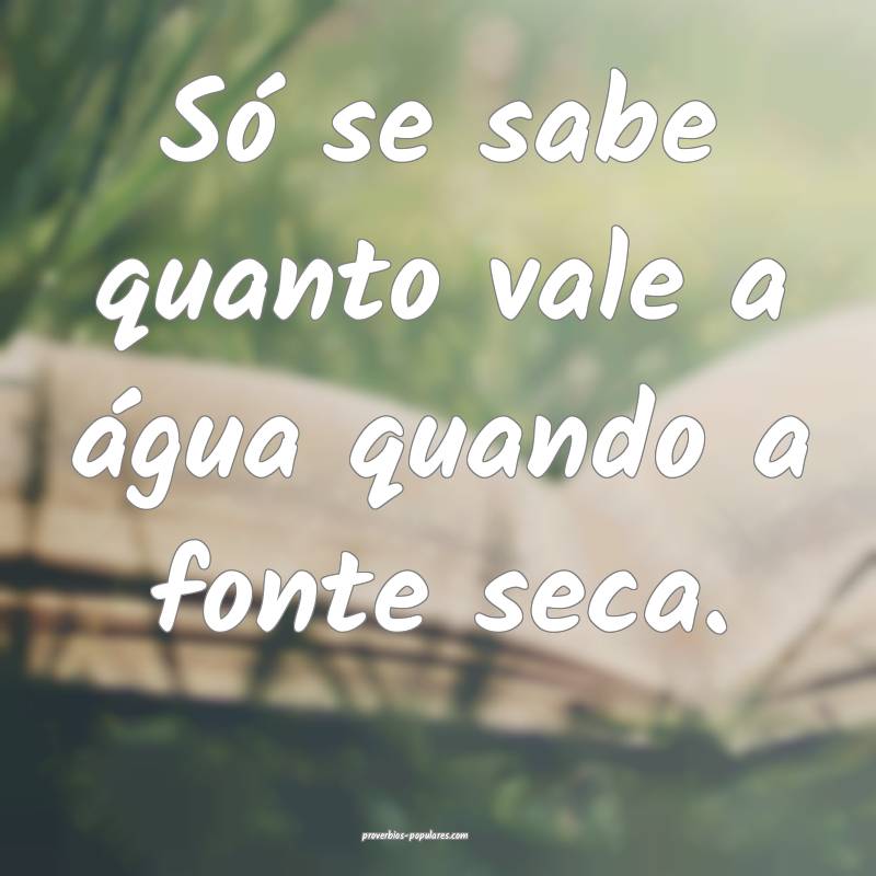 Só se sabe quanto vale a água quando a fonte seca.
...
