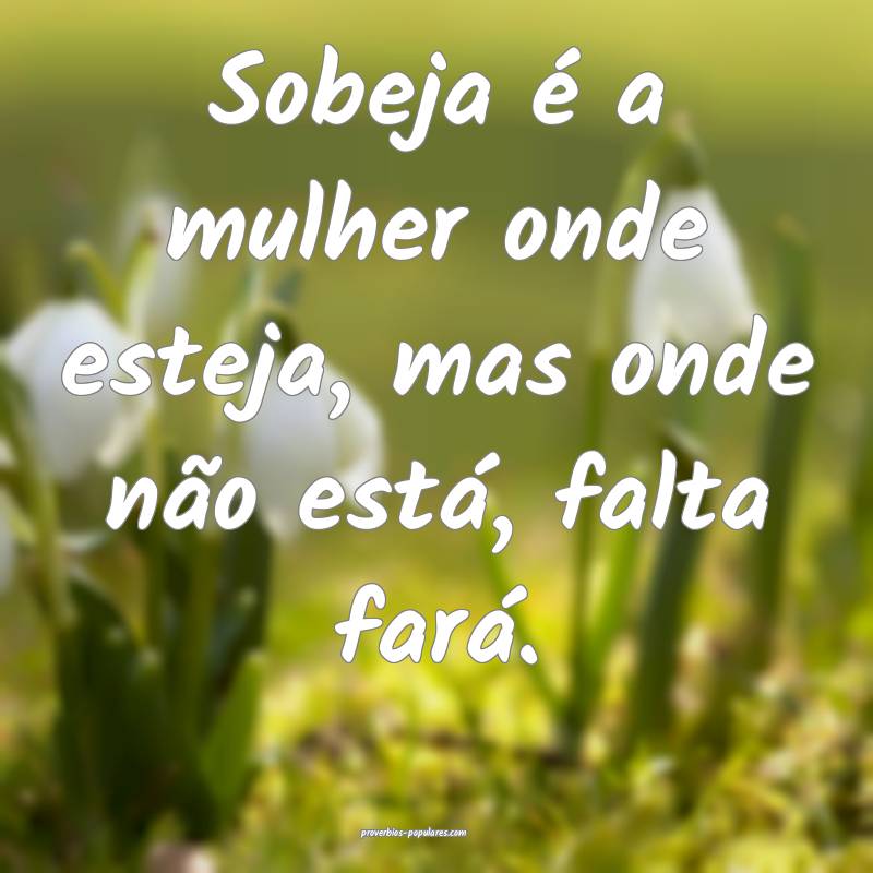Sobeja é a mulher onde esteja, mas onde não está, falta fará.
...