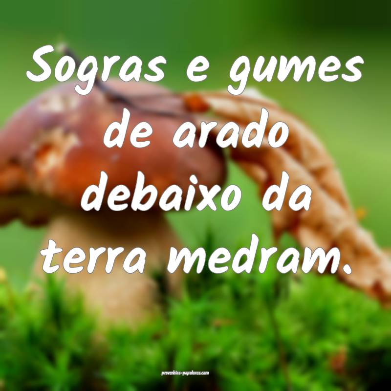 Sogras e gumes de arado debaixo da terra medram.
...