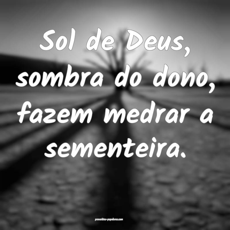 Sol de Deus, sombra do dono, fazem medrar a sementeira.
...