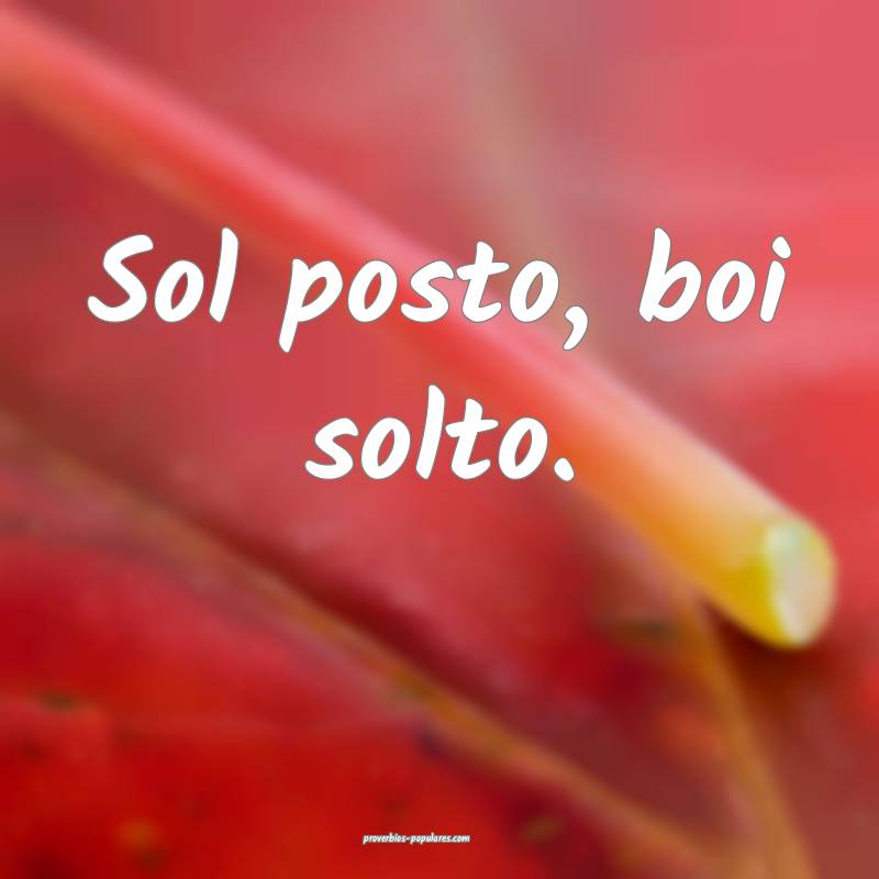 Sol posto, boi solto.
...