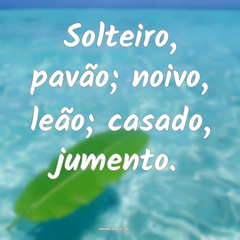 Solteiro, pavão; noivo, leão; casado, jumento.
...