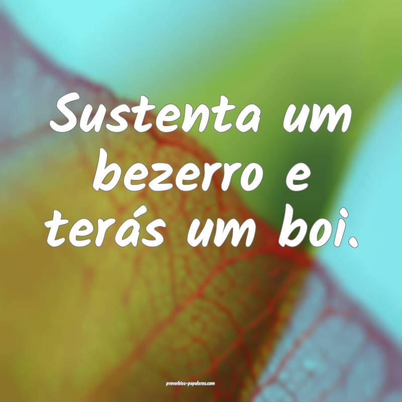 Sustenta um bezerro e terás um boi.
 ...