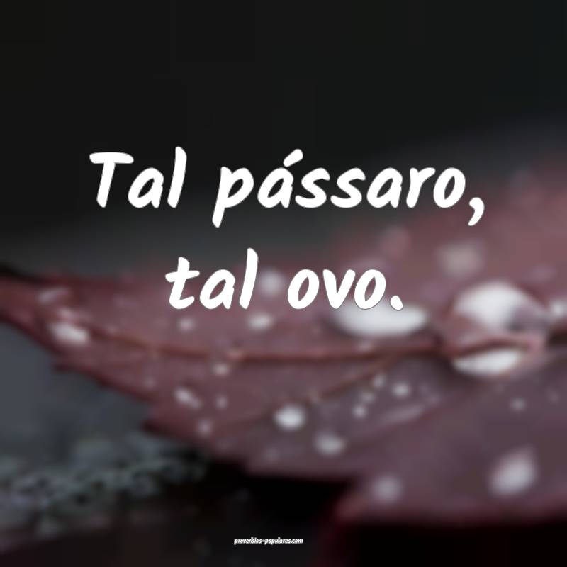 Tal pássaro, tal ovo.
 ...