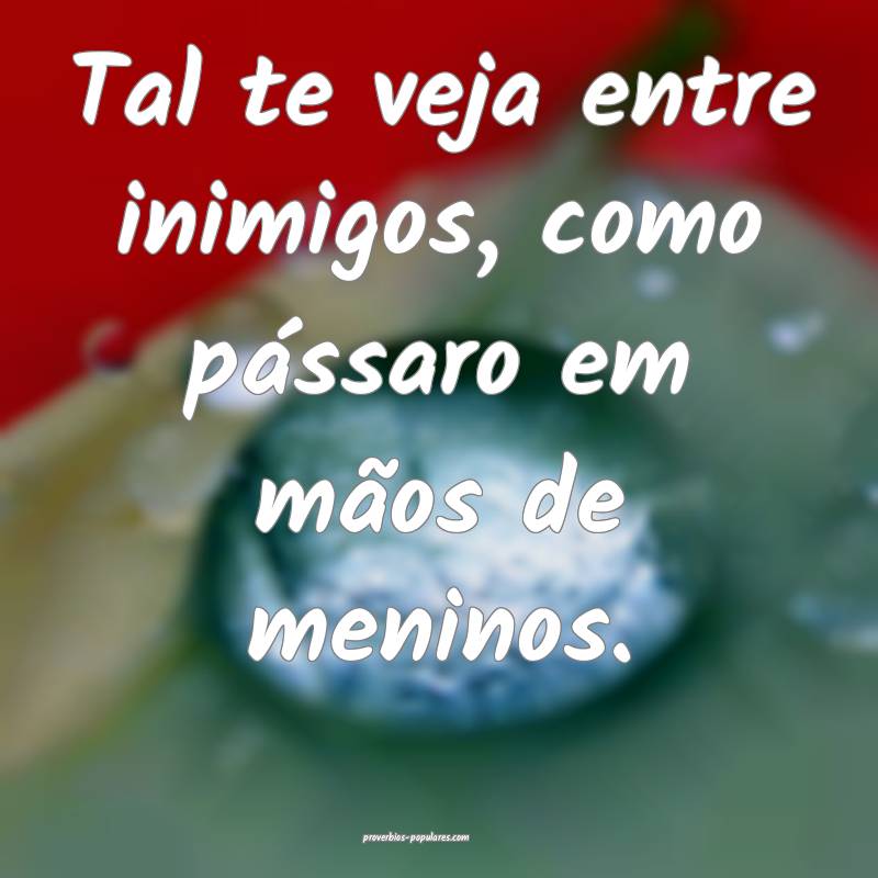 Tal te veja entre inimigos, como pássaro em mãos de meninos.
...