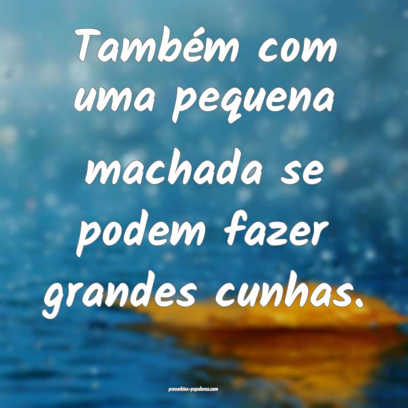 Também com uma pequena machada se podem fazer grandes cunhas.
...