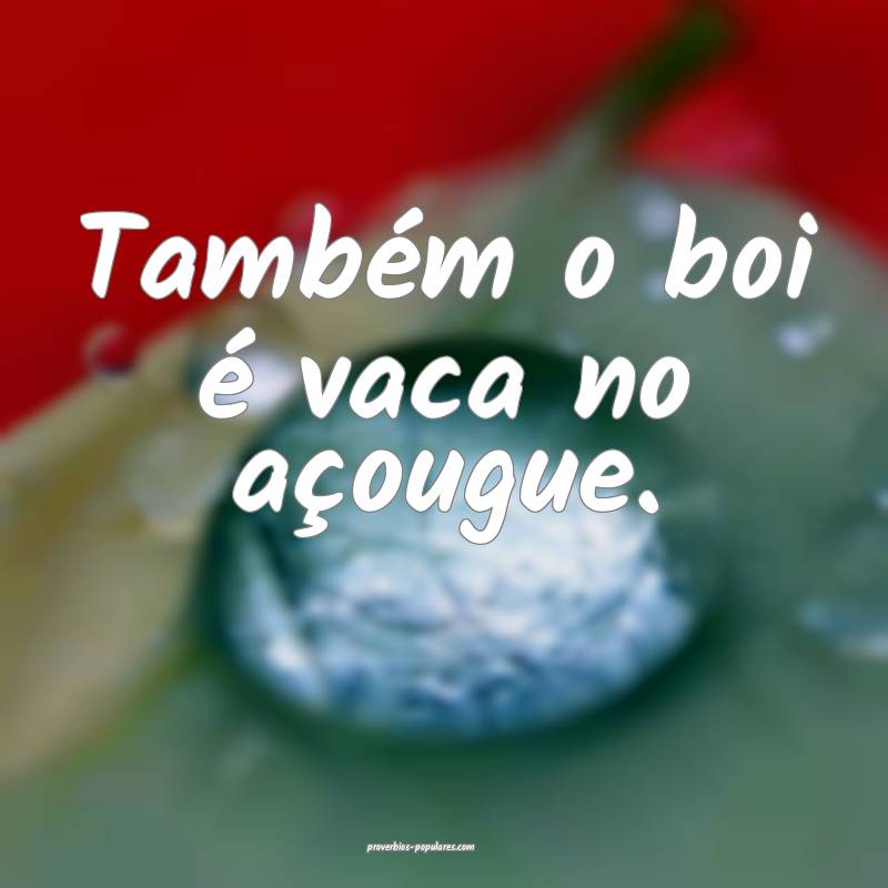 Também o boi é vaca no açougue.
...