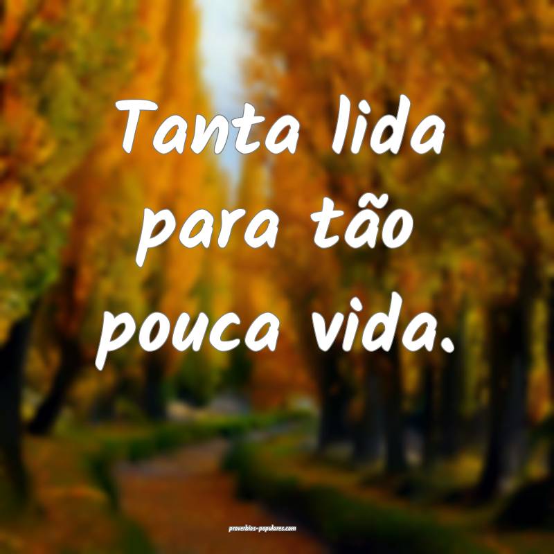 Tanta lida para tão pouca vida.
...