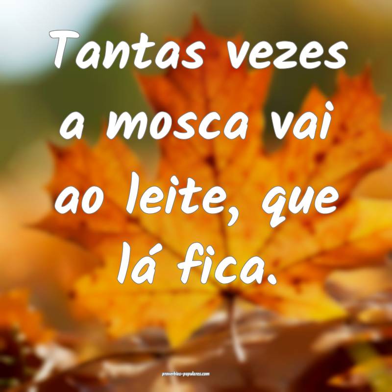 Tantas vezes a mosca vai ao leite, que lá fica.
...