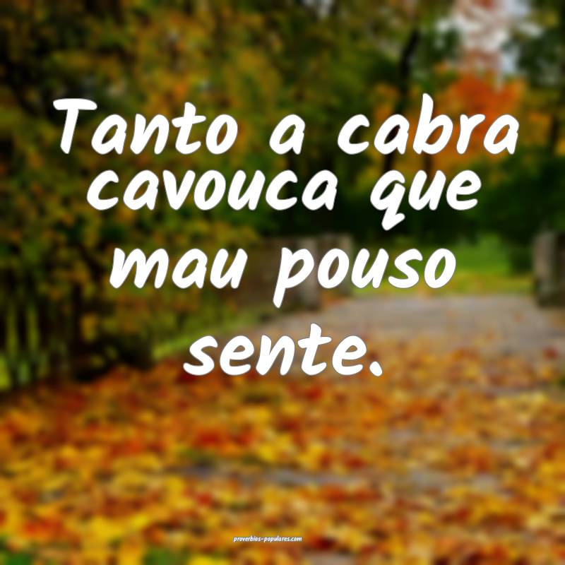 Tanto a cabra cavouca que mau pouso sente.
 ...