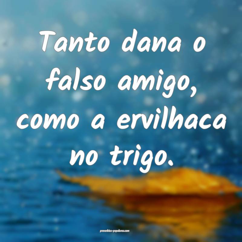 Tanto dana o falso amigo, como a ervilhaca no trigo.
...