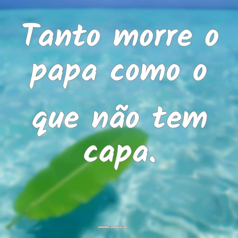 Tanto morre o papa como o que não tem capa.
...