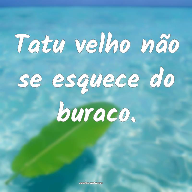 Tatu velho não se esquece do buraco.
 ...