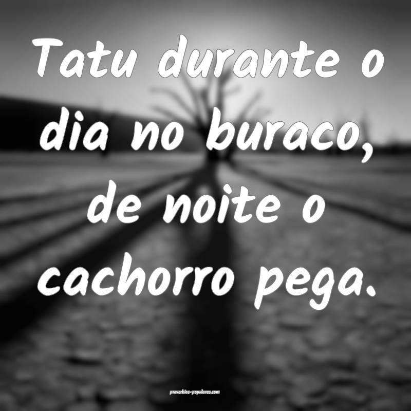 Tatu durante o dia no buraco, de noite o cachorro pega.
...