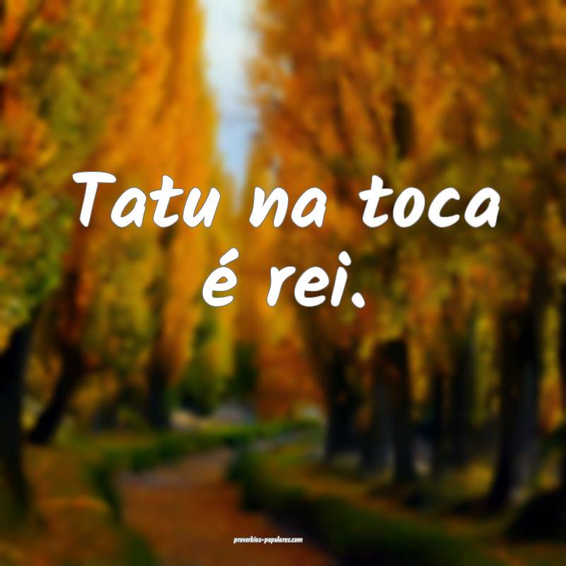 Tatu na toca é rei.
...