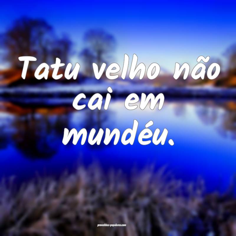 Tatu velho não cai em mundéu.
...
