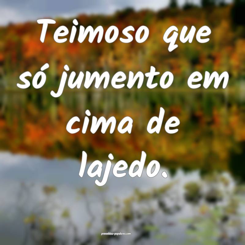 Teimoso que só jumento em cima de lajedo.
...