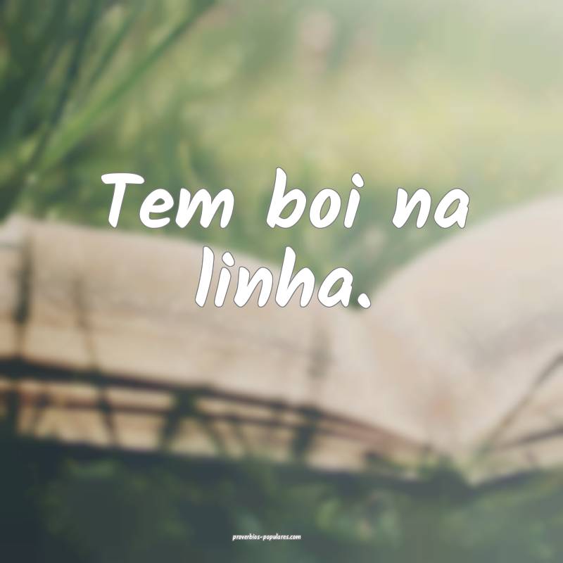 Tem boi na linha.
...