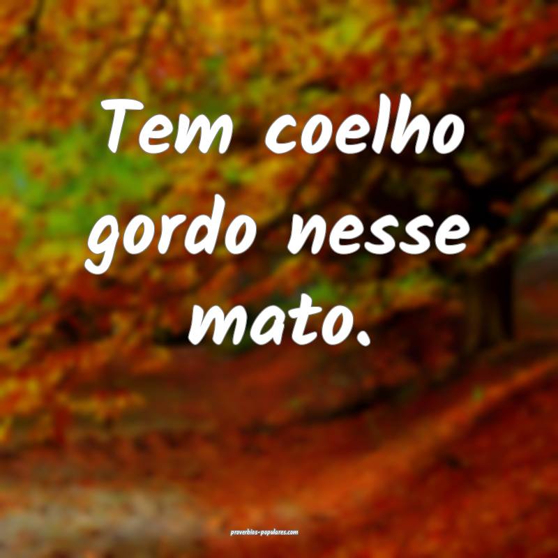 Tem coelho gordo nesse mato.
...