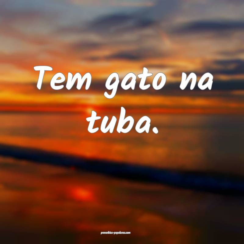 Tem gato na tuba.
 ...