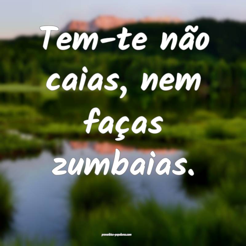 Tem-te não caias, nem faças zumbaias.
 ...