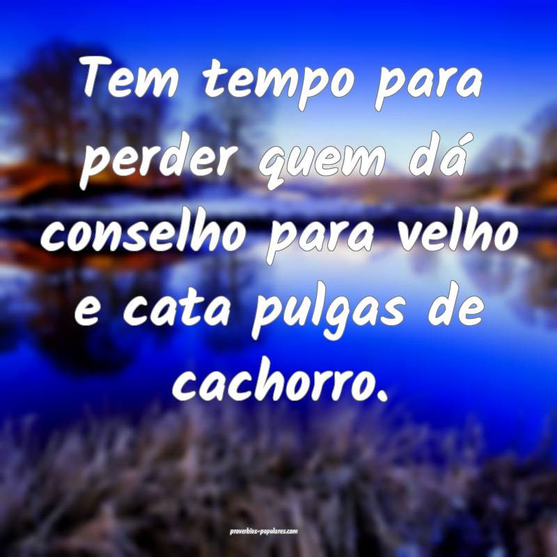 Tem tempo para perder quem dá conselho para velho e cata pulgas de ca...
