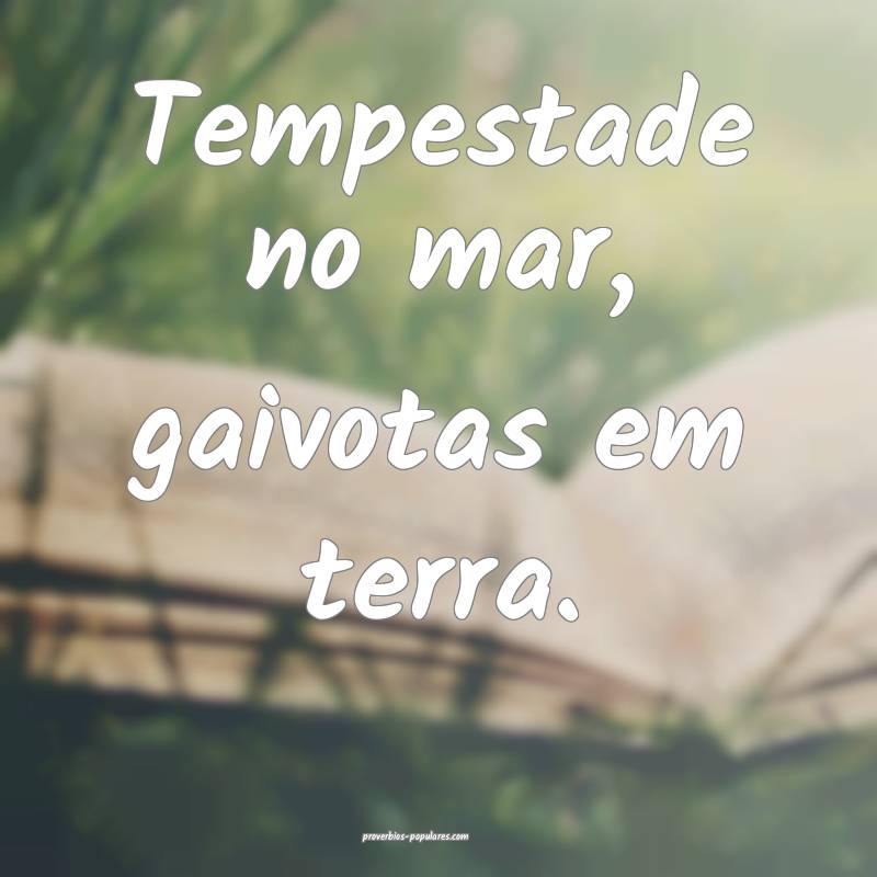 Tempestade no mar, gaivotas em terra.
...