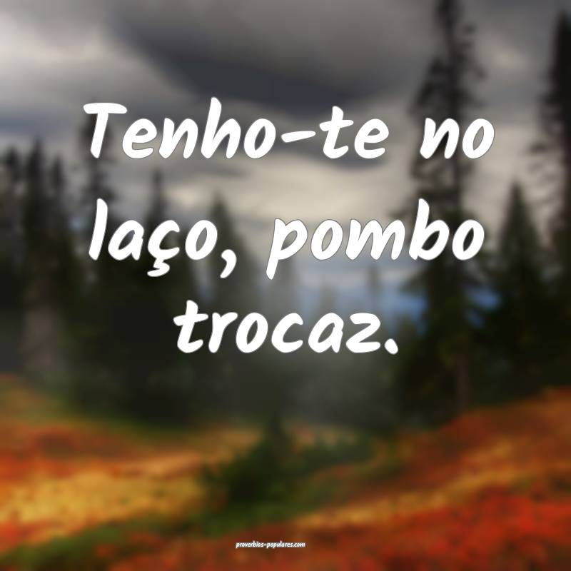 Tenho-te no laço, pombo trocaz.
 ...