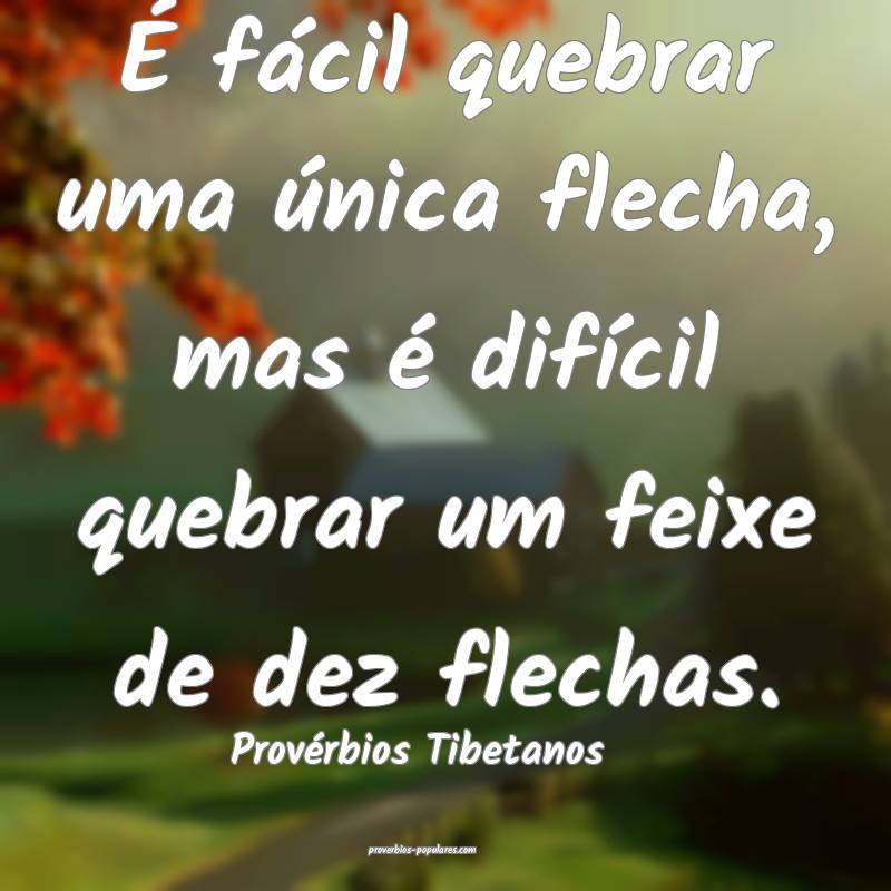 É fácil quebrar uma única flecha, mas é difícil quebrar um feixe ...